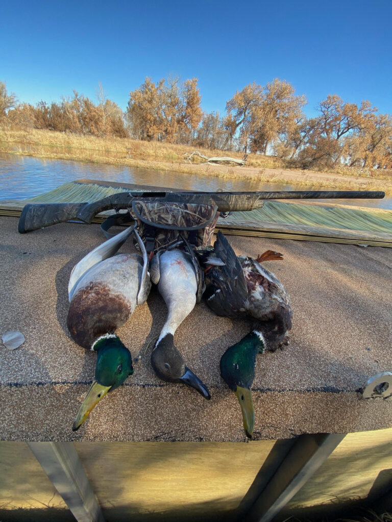 Colorado Waterfowl Property