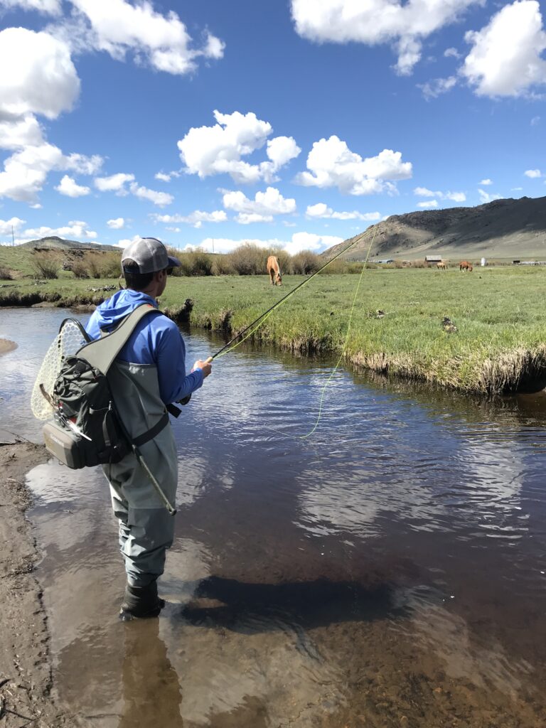 Walden Colorado fly fishing