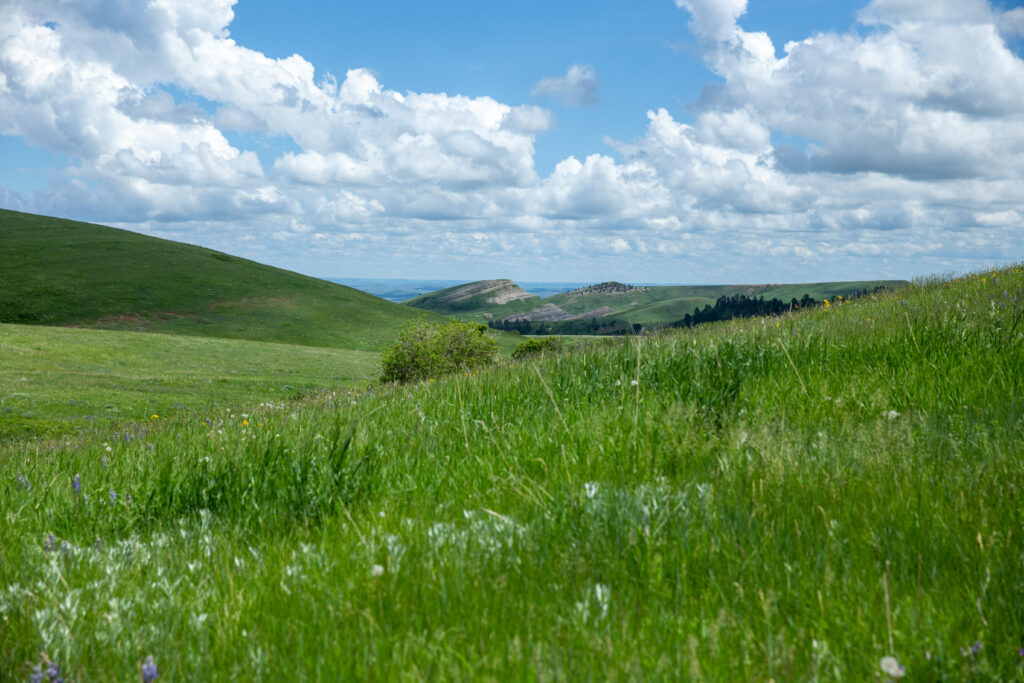 Conservation easement in Wyoming