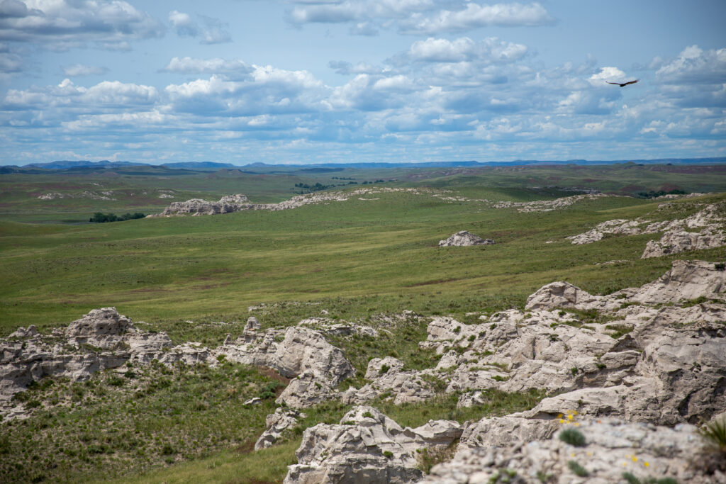 Wyoming Rangeland