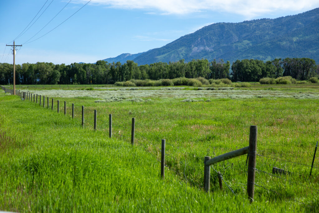 Cattle Ranch in Wyoming