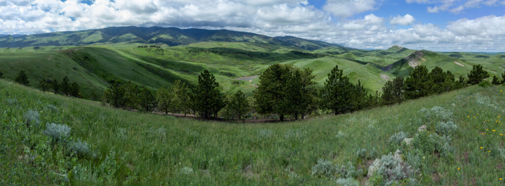 Wyoming Land