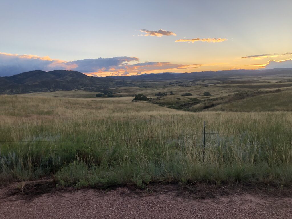 80549 Real Estate